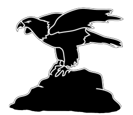 bird silhouette eagle on cliff