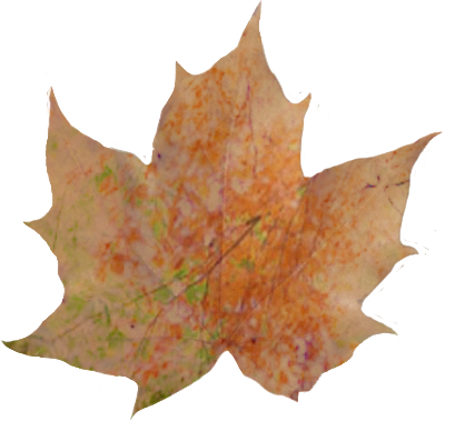 autumn leaf with scenery