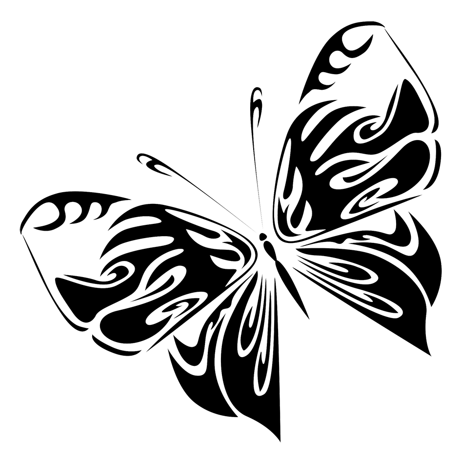 black butterfly drawing png