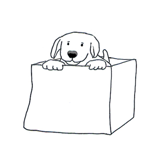 Sketch of puppy in box