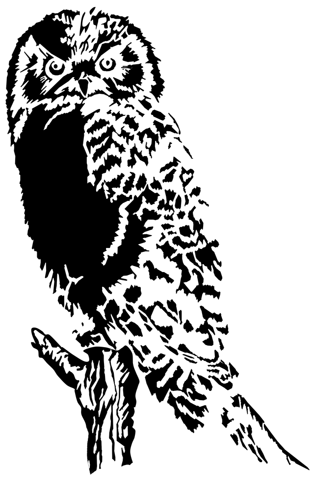 owl drawing black white