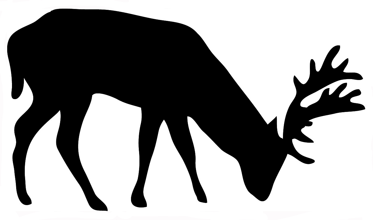 deer silhouette of grazing stag