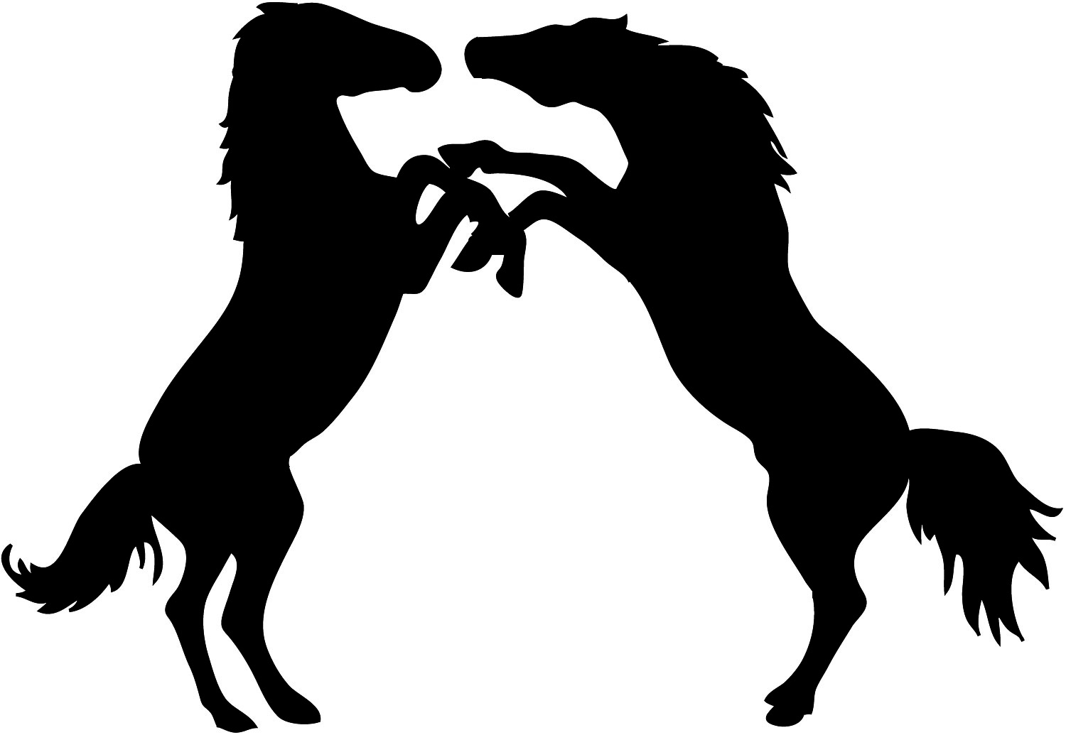 two stallions fighting silhouette