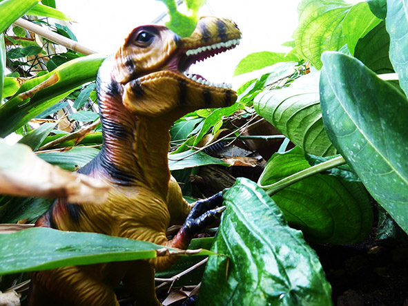 Picture of big T rex