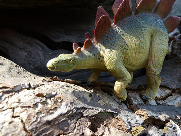 Stegosaurus under attack