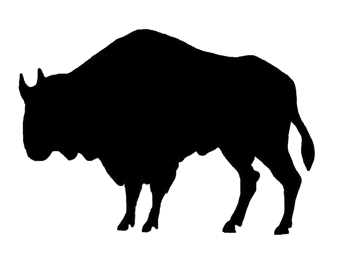 silhouette of buffalo black