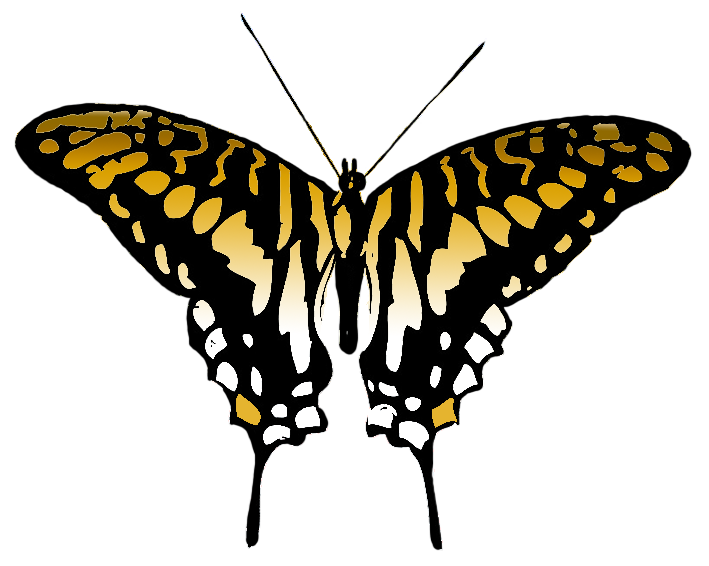 butterfly clipart brown colored wings