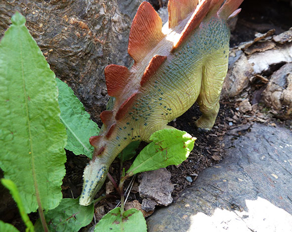 Stegosaurus eating