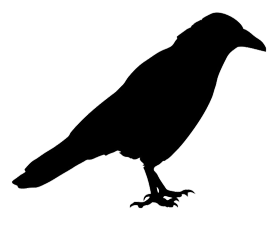 jackdaw silhouette