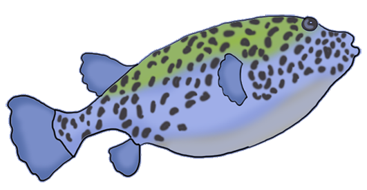 blackspotted pufferfish