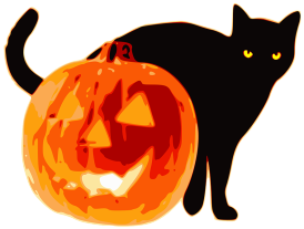 Halloween black cat and pumpkin