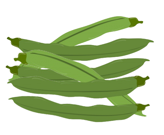 green beans clipart