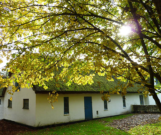 old farmhouse in the autumn