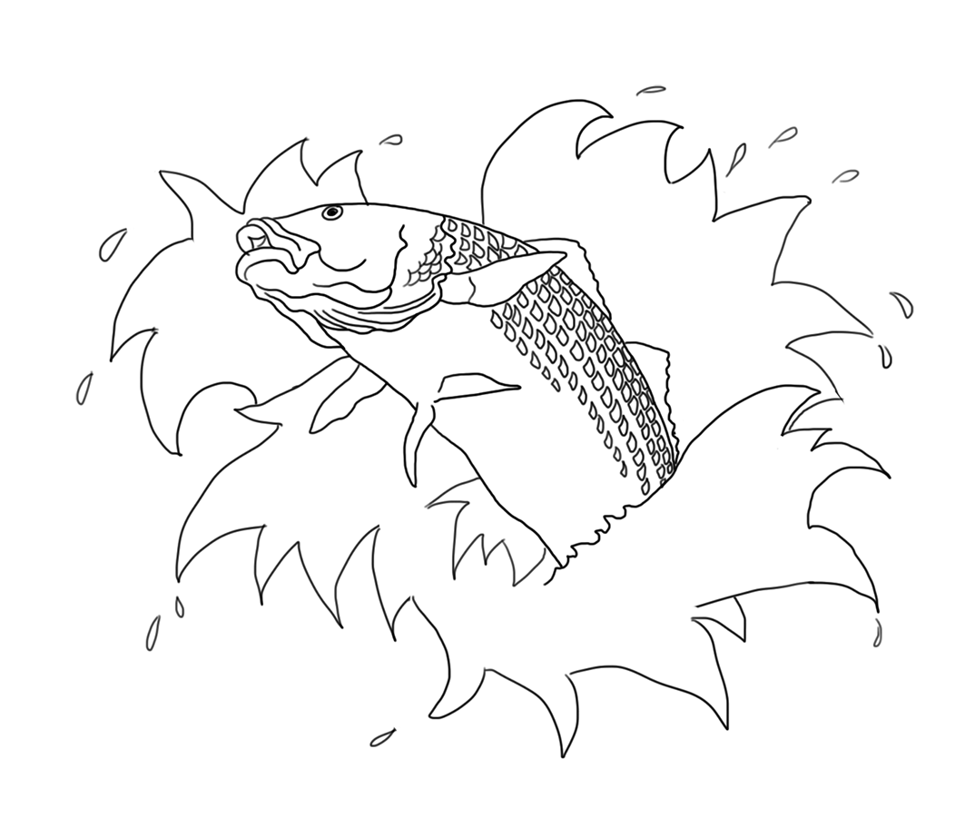 sketch jumping koi