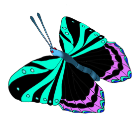 colorful butterflies 2