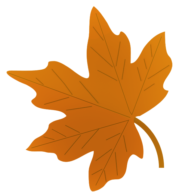 fall leaf drawing