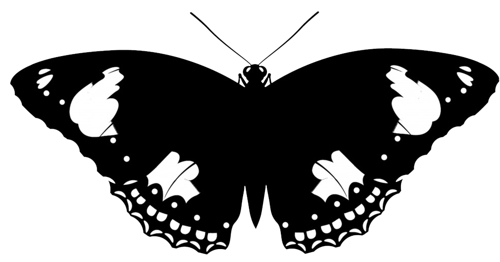 butterfly silhouette