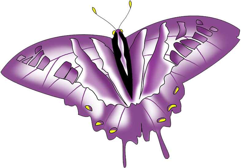 colorful purple swallowtail clipart