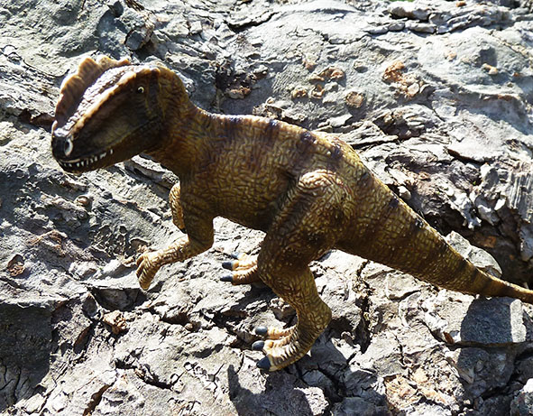 Small t-rex