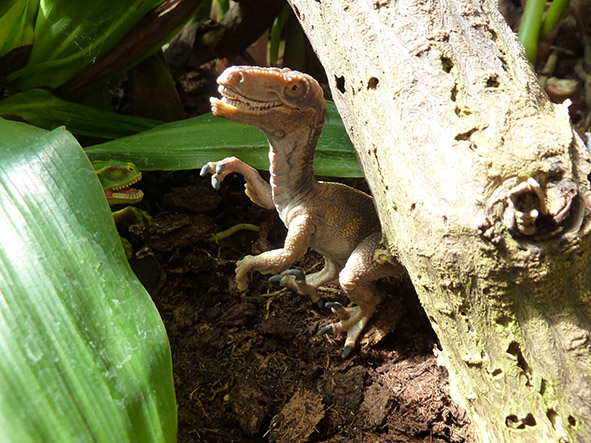 two dinosaurs in forest