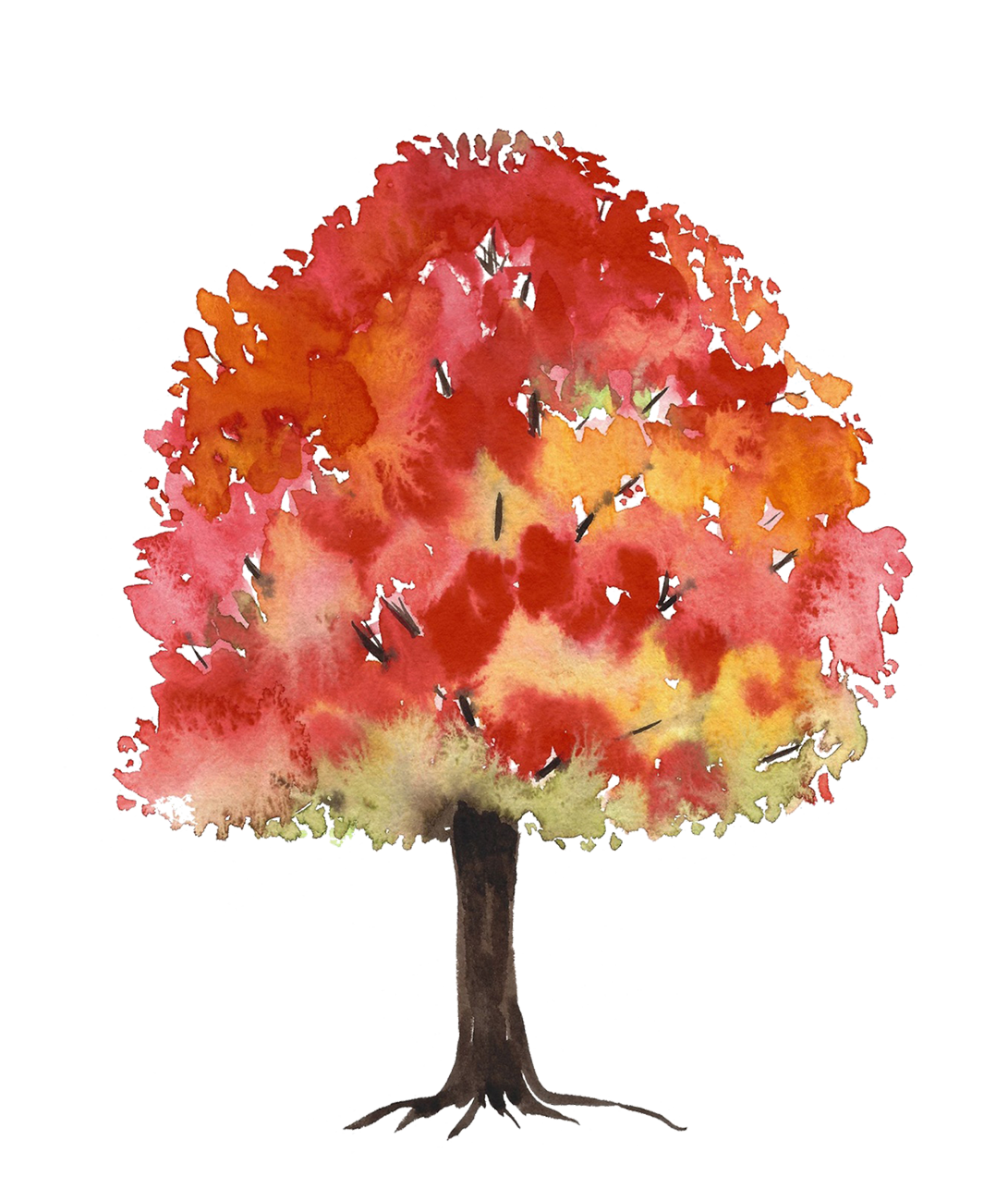 autumn tree watercolor