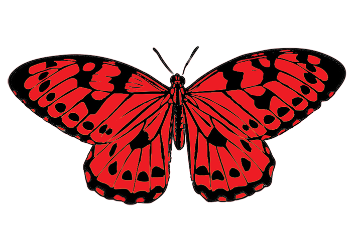 red and black butterfly clipart