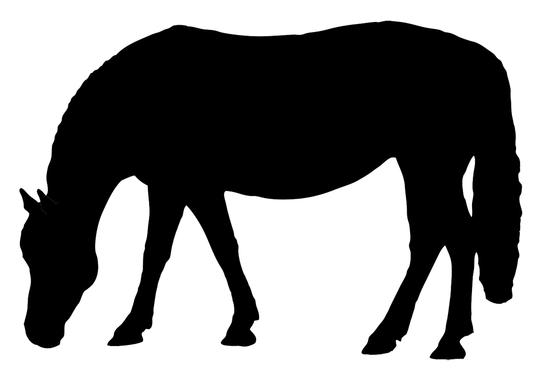 horse grazing clip art