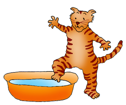 cat taking a bath
