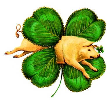 A pig for luck and a St. Patrick's clover