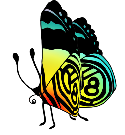 free butterflies colorful