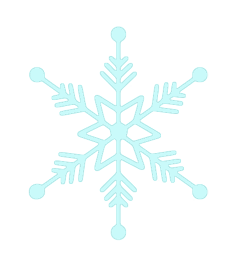 winter snowflake