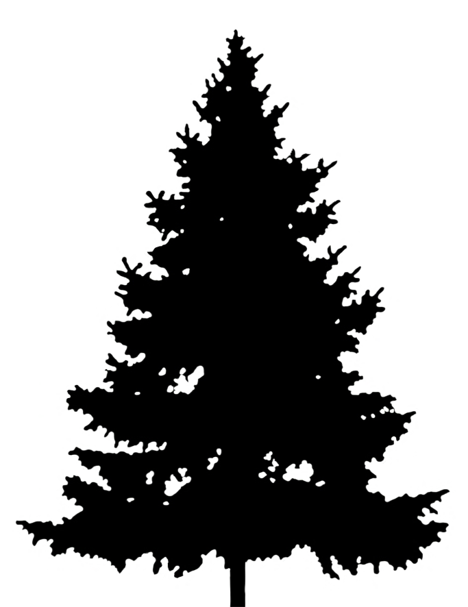black silhouette of christmas tree