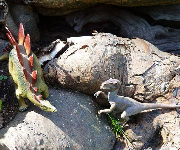 stegosaurus and other dinosaur