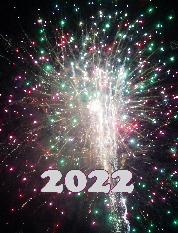 2020 firework new year