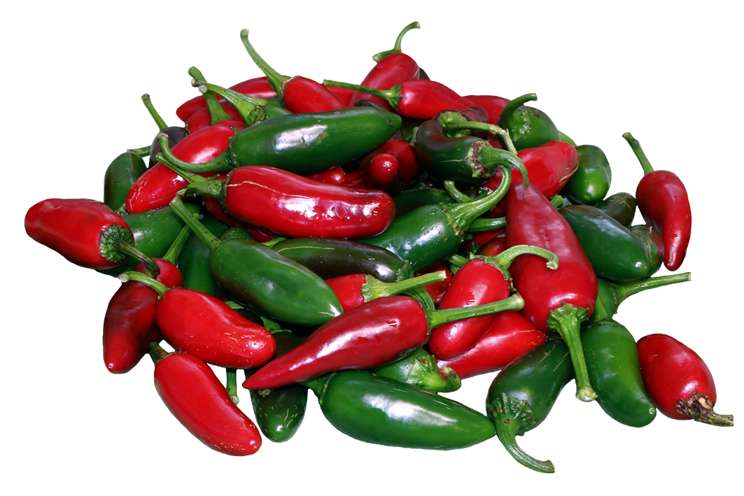 Jalapenos clipart