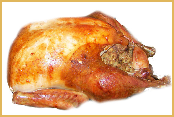 photo of Thanksgiving turkey roasted