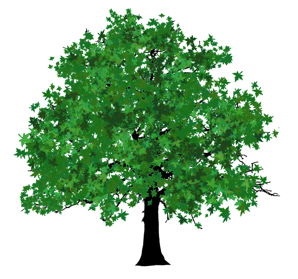 summer tree clipart