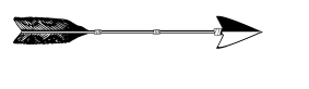 arrow with feathers
