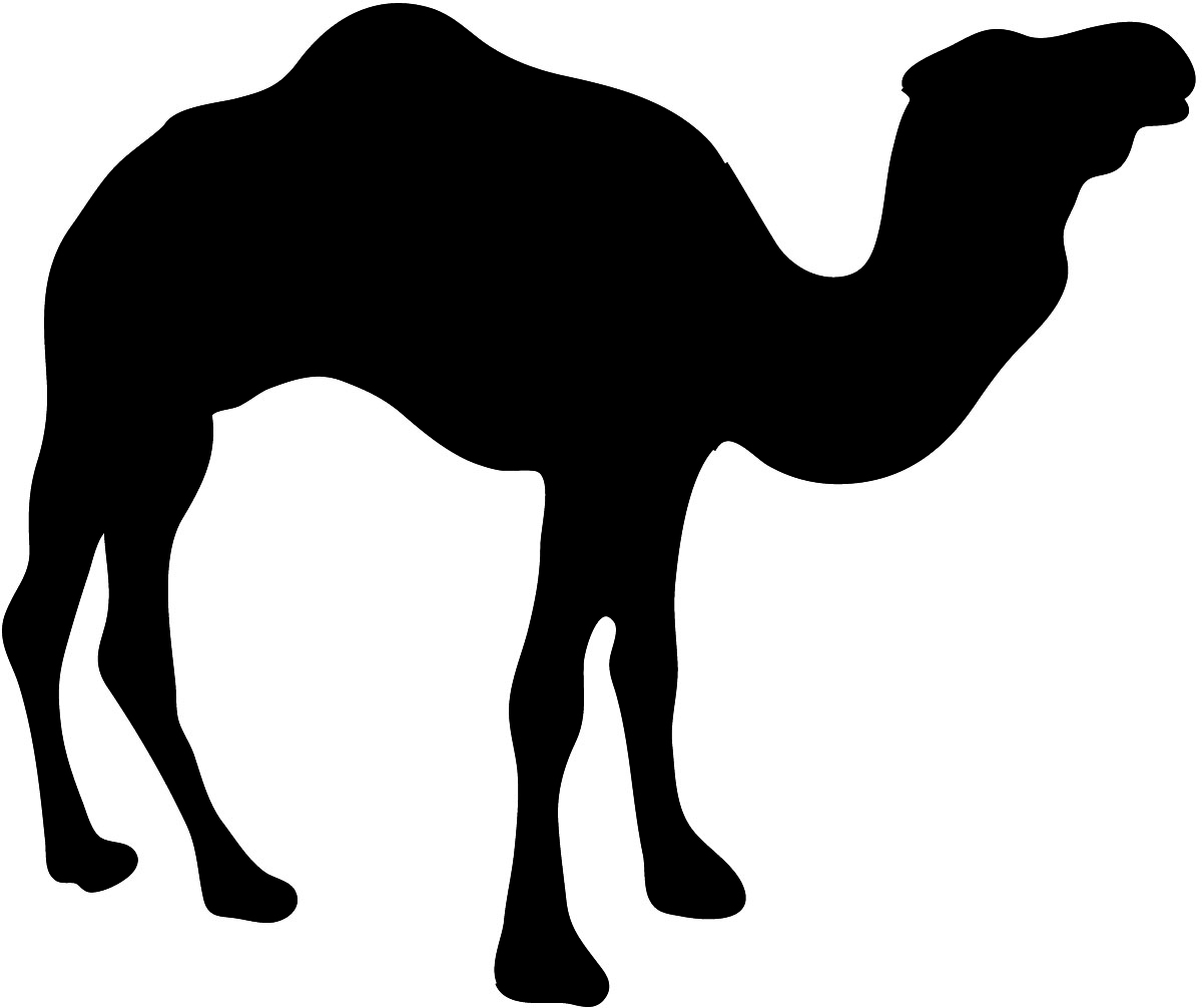 Black silhouette of camel