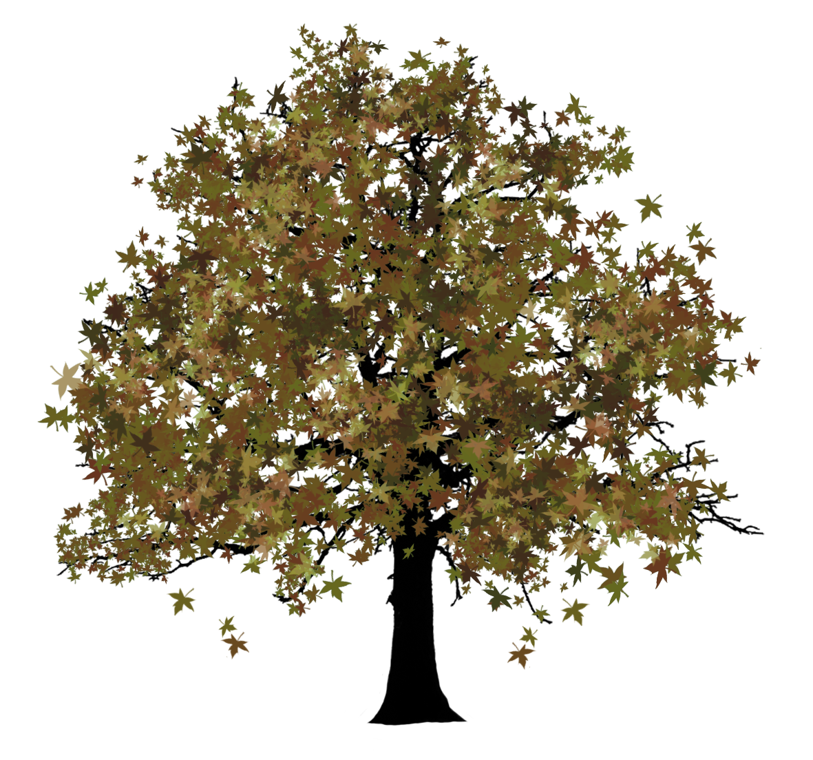 tree with fall leaves
