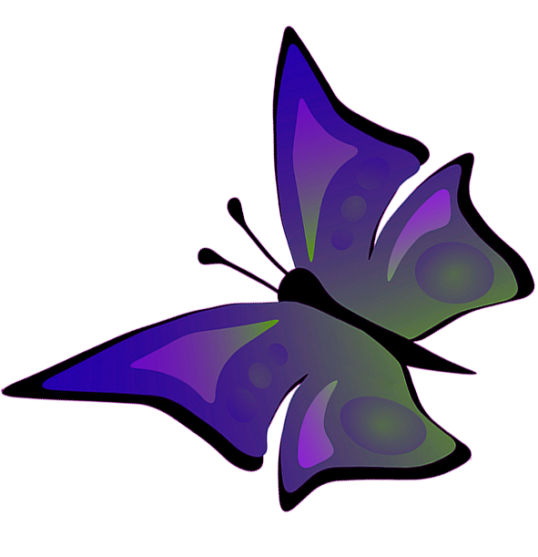 drawing of flying butterfly