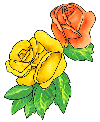 flower drawings two roses with leaves