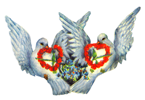 Valentine pigeons with heart of roses