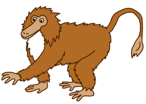 hairy monkey clip art