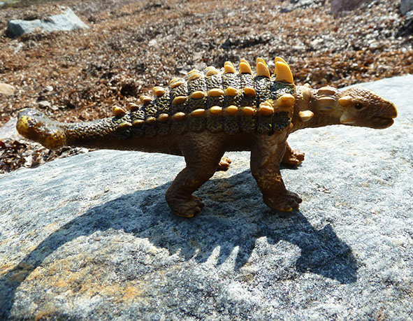 Thyreophora dinosaur pictures