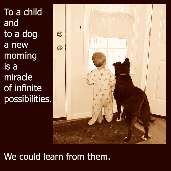 dog quote about a child and dog and new day