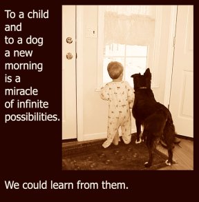 dog quote about a child and dog and new day