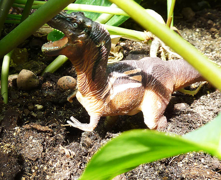Rain-forest-dinosaur