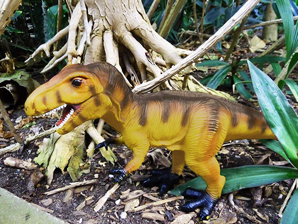 Brown Tyrannosaurus Rex