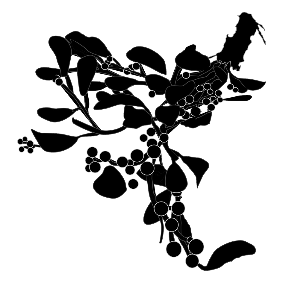 Mistletoe-silhouette